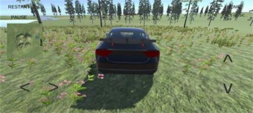 長途駕駛汽車模擬器 v0.1 安卓版 0