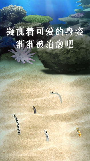 養(yǎng)育花園鰻 v1.0 漢化版 4