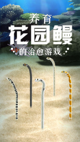 養(yǎng)育花園鰻 v1.0 漢化版 0