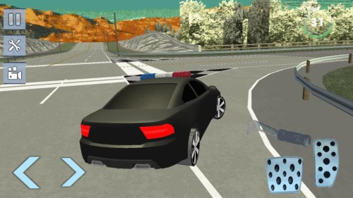 真實(shí)警車追逐 v1.0 安卓版 1
