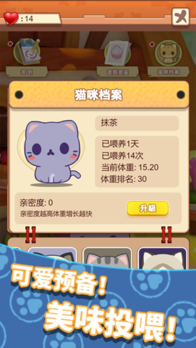 養(yǎng)只大肥貓 v1.0 安卓版 2