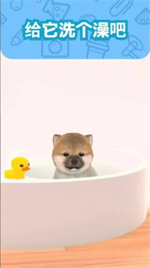 我和狗狗 v1.0.2.323120246531850910230 安卓版 1