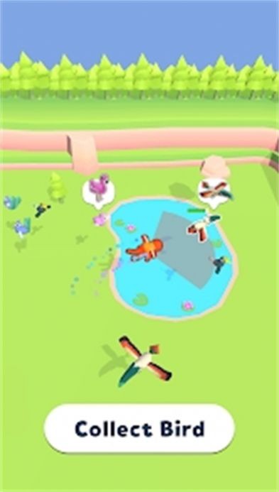 鳥類大陸 v0.1.6 安卓版 0