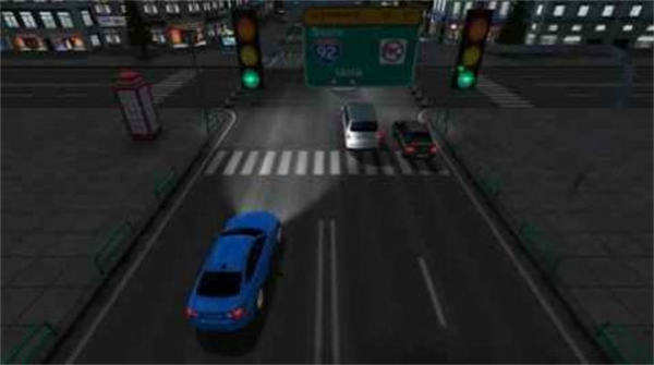 模擬拉力賽車 v1.23 安卓版 0