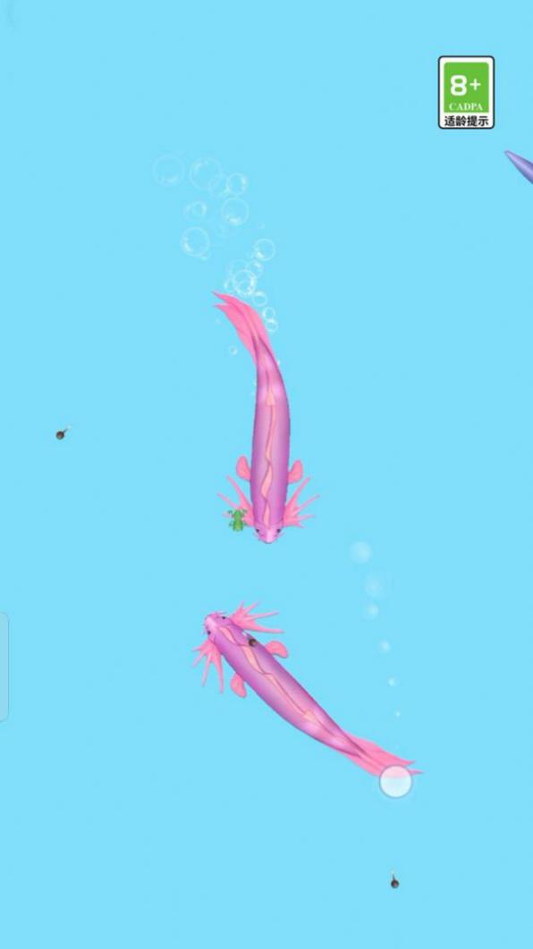 荷塘爭(zhēng)霸 v1.0.0 安卓版 0