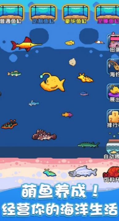 快來養魚手機版 v1.0 安卓版 1