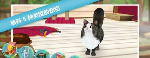 我的動物寄養(yǎng)所 v1.3.2 安卓版 2