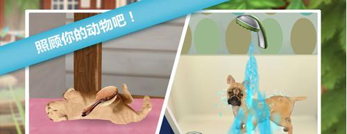 我的動物寄養(yǎng)所 v1.3.2 安卓版 0