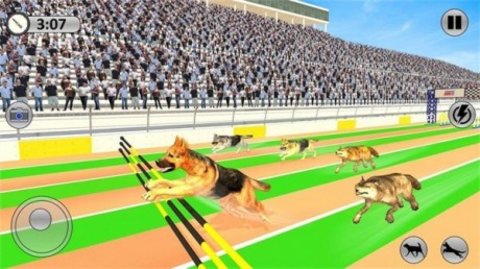 國際賽狗比賽 v1.0 安卓版 1