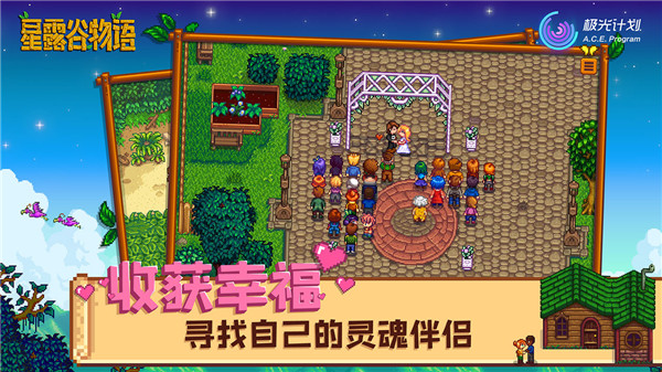 ConcernedApe v1.6.15.0 安卓版 1
