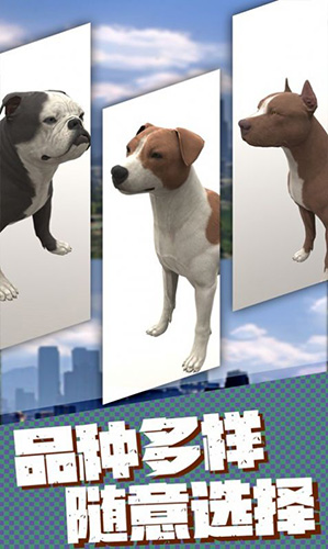 流浪狗生存模擬器 v1.1 安卓版 0