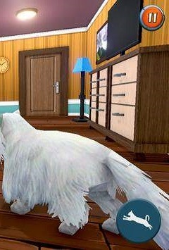 貓和女傭 v3.1 安卓版 0