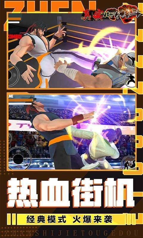真實(shí)街頭格斗 v1.0 安卓版 0