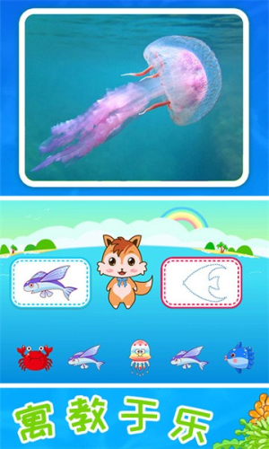 兒童寶寶海洋世界 v4.6ed 安卓版 1