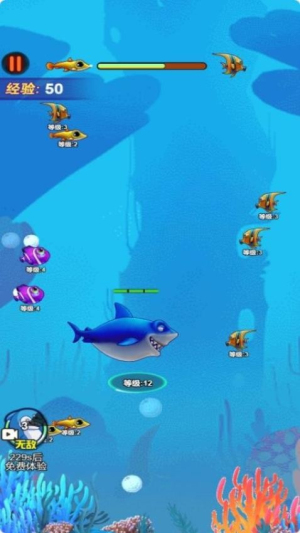變身神龍吧 v1.0.0 安卓版 2