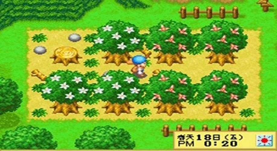 牧場物語精靈驛站女孩 v4.8.6.6 安卓版 1