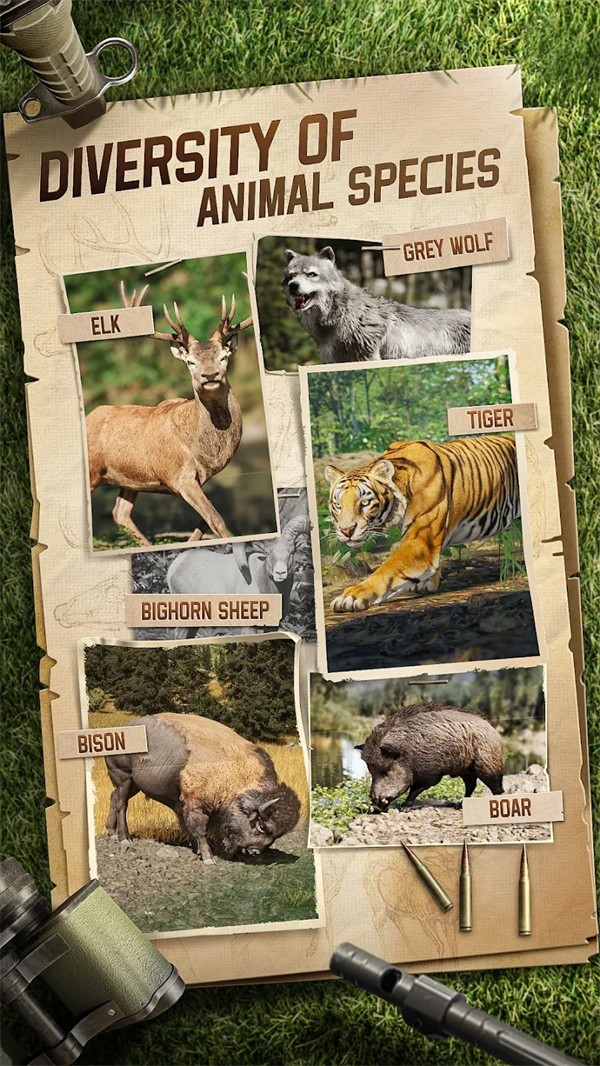 Hunting Sniper v3.02.0101 安卓版 0