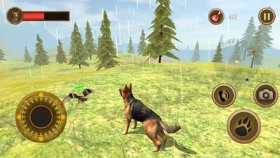 動物生存模擬器之狗 v1.1 安卓版 0