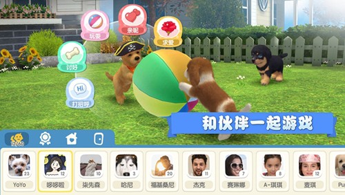 夢幻小狗2023 v1.0.3 安卓版 1
