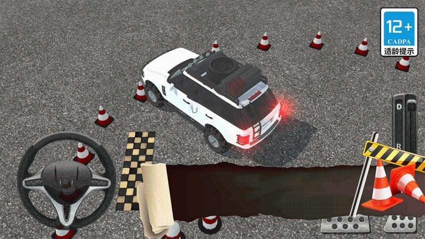 真實(shí)模擬司機(jī)駕駛手機(jī)版 v1.0.0 安卓版 0