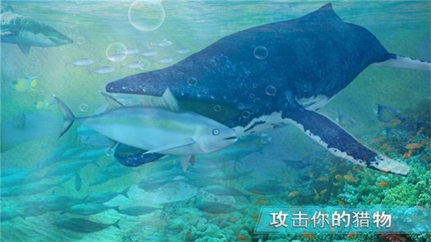 全民養(yǎng)鯊魚(yú) v1.3 安卓版 1