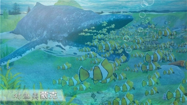 全民養(yǎng)鯊魚(yú) v1.3 安卓版 2
