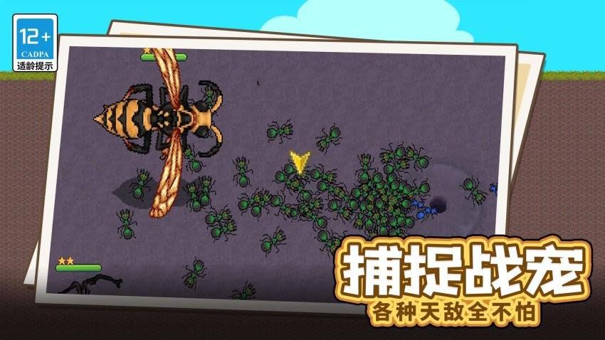螞蟻指揮官最新版 v1.0.0 安卓版 1