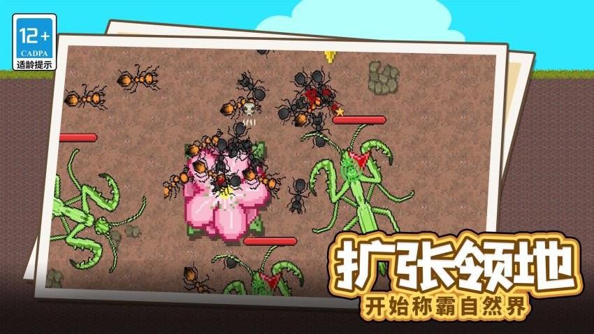 螞蟻指揮官最新版 v1.0.0 安卓版 2