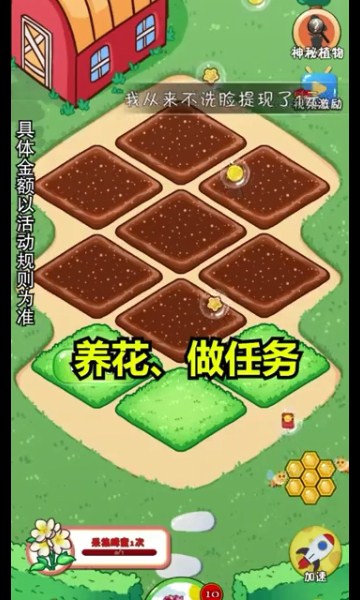 我的大花园