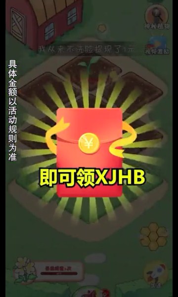 我的大花园