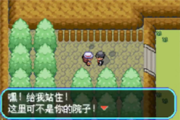 口袋暴龍5.0 v2021.01.12.14 安卓版 2