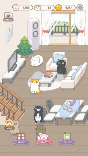 貓保姆非圖 v1.0.1 安卓版 1