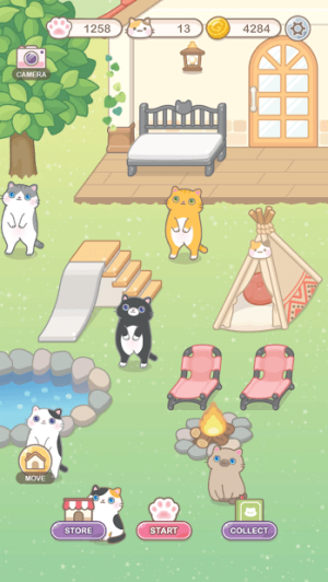貓保姆非圖 v1.0.1 安卓版 2