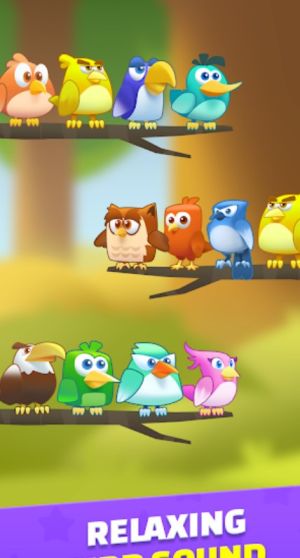 鳥(niǎo)類分色大師 v1.8 安卓版 1