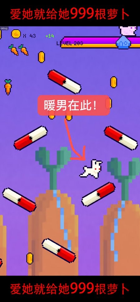 恩愛兔999根蘿卜 v1.9 安卓版 1