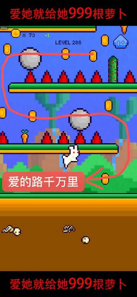 恩愛兔999根蘿卜 v1.9 安卓版 2