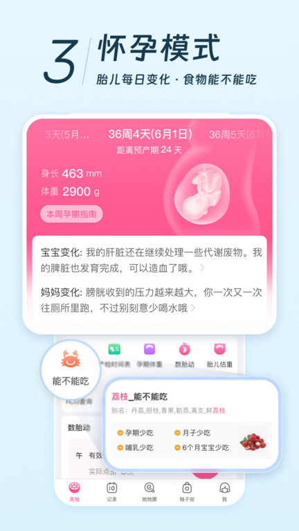 美柚官方版 v8.94.0.0 官方安卓版 3