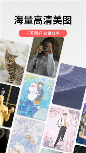 堆糖 v8.64.0 安卓版 2