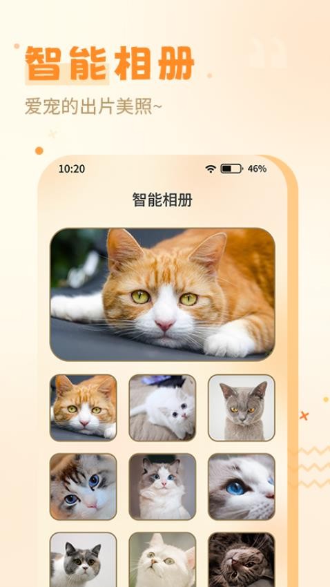 喵人貓語(yǔ) v1.0.3 手機(jī)版 1