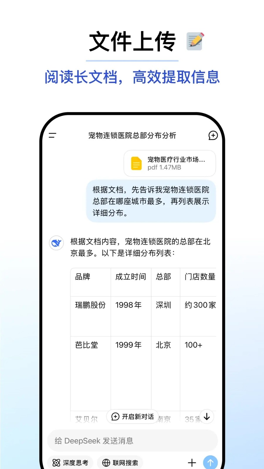 DeepSeek v1.3.1 1