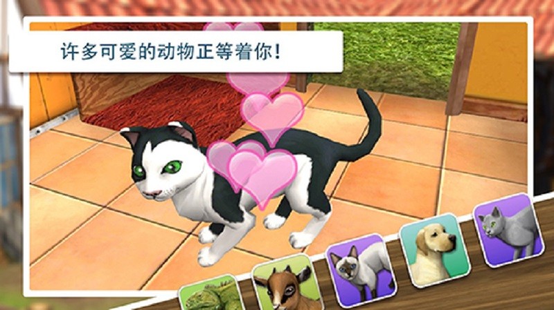 寵物世界3d所有動物 v5.6.12 安卓版 0