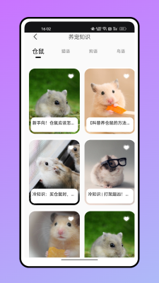 倉鼠語言翻譯器 v1.1 3