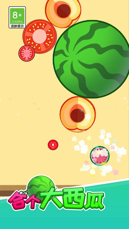 合個(gè)大西瓜 v1.1.1 安卓版 3