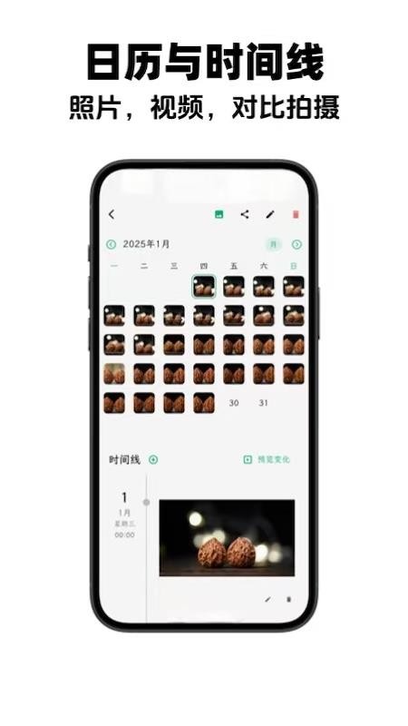预览图4