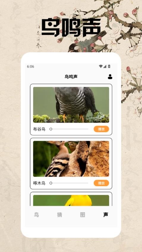 孤獨的鳥類大全 v1.4 0