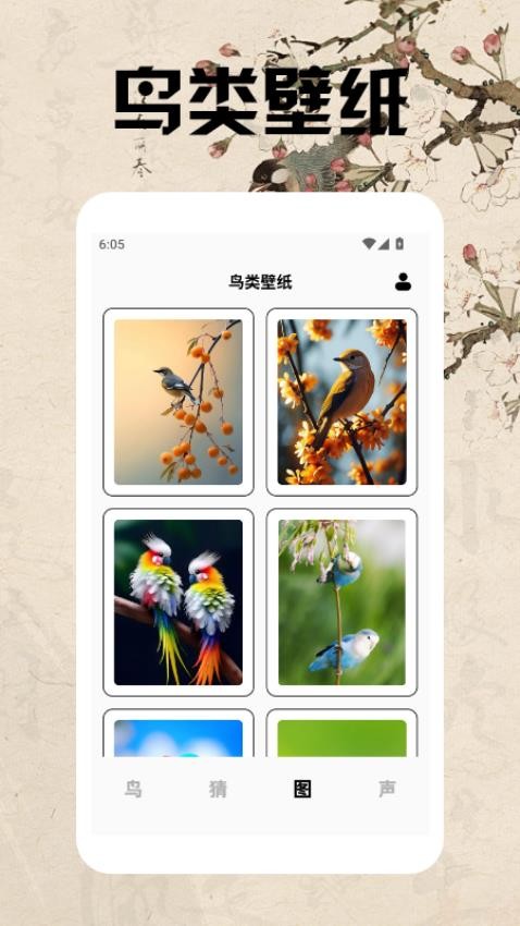 孤獨的鳥類大全 v1.4 2