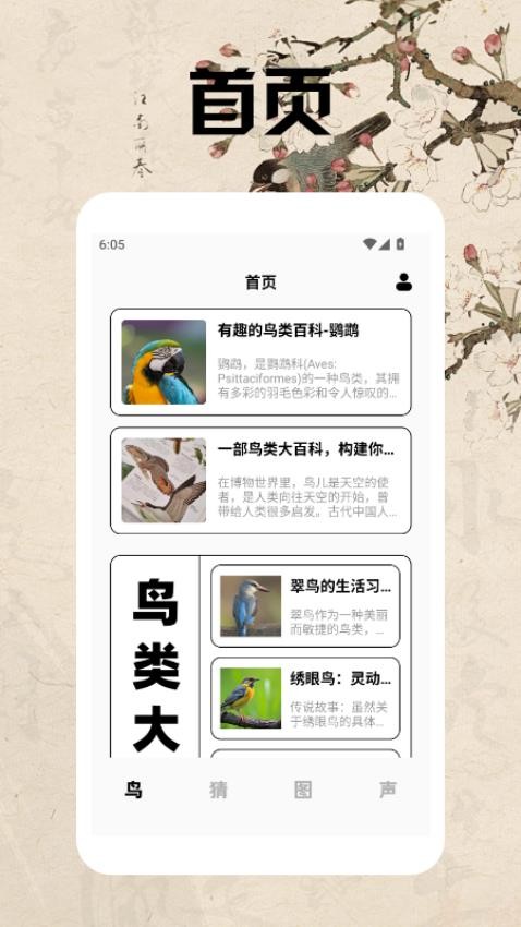 孤獨的鳥類大全 v1.4 3