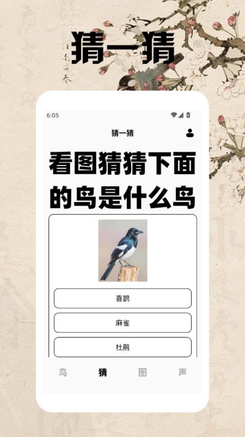 孤獨的鳥類大全 v1.4 1
