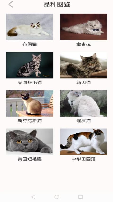 動(dòng)物世界大全 v1.0.1 1