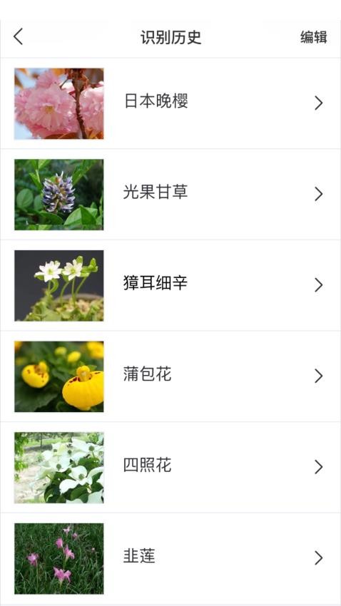 識花大師 v1.3.8 3